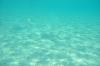 фото подводный мир Мальдив