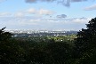 DSC_4580.JPG