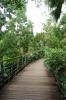 фото Ботанический сад Сингапур
