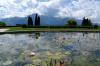 Фото Женевское озеро Монтре, Веве, Женева