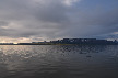 DSC_0917.JPG