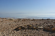 фото Мёртвое море